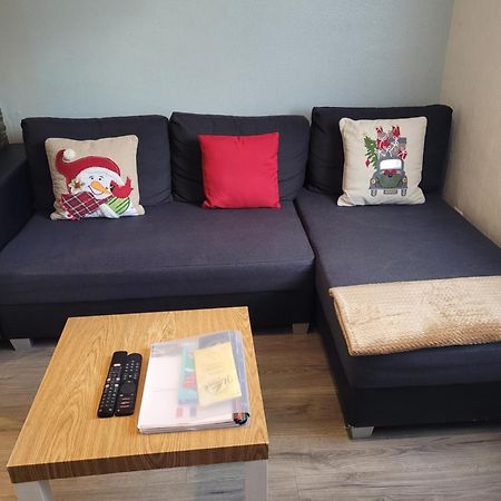 Appartement Au Cigogneau Wifi-Netflix-Balcon-Parking Munster  Eksteriør billede