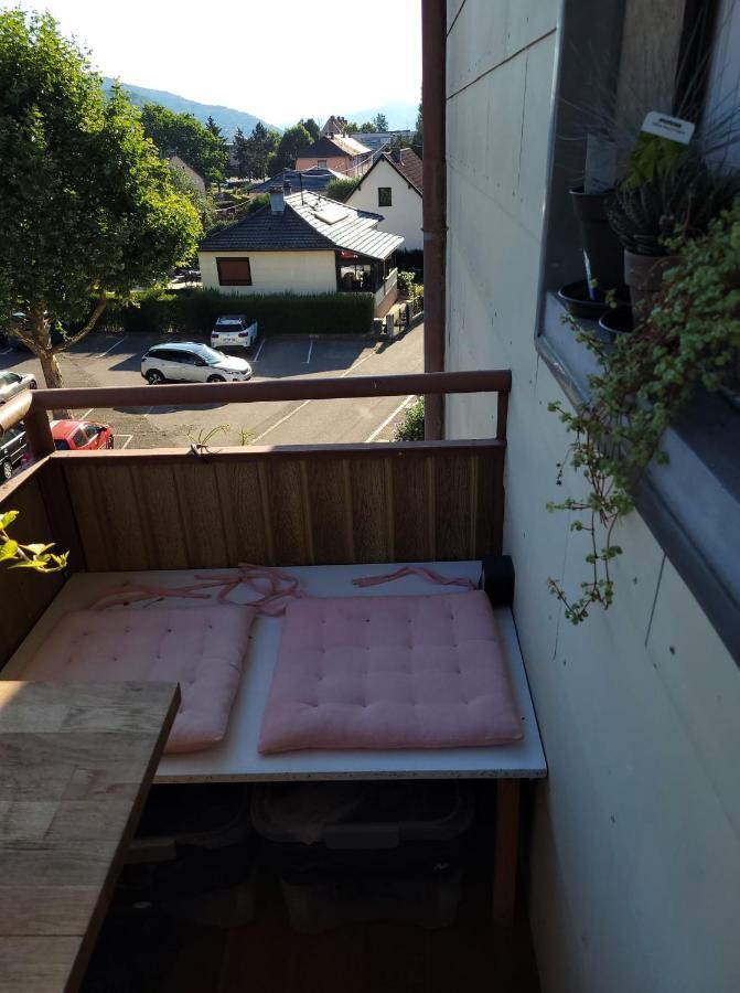 Appartement Au Cigogneau Wifi-Netflix-Balcon-Parking Munster  Eksteriør billede