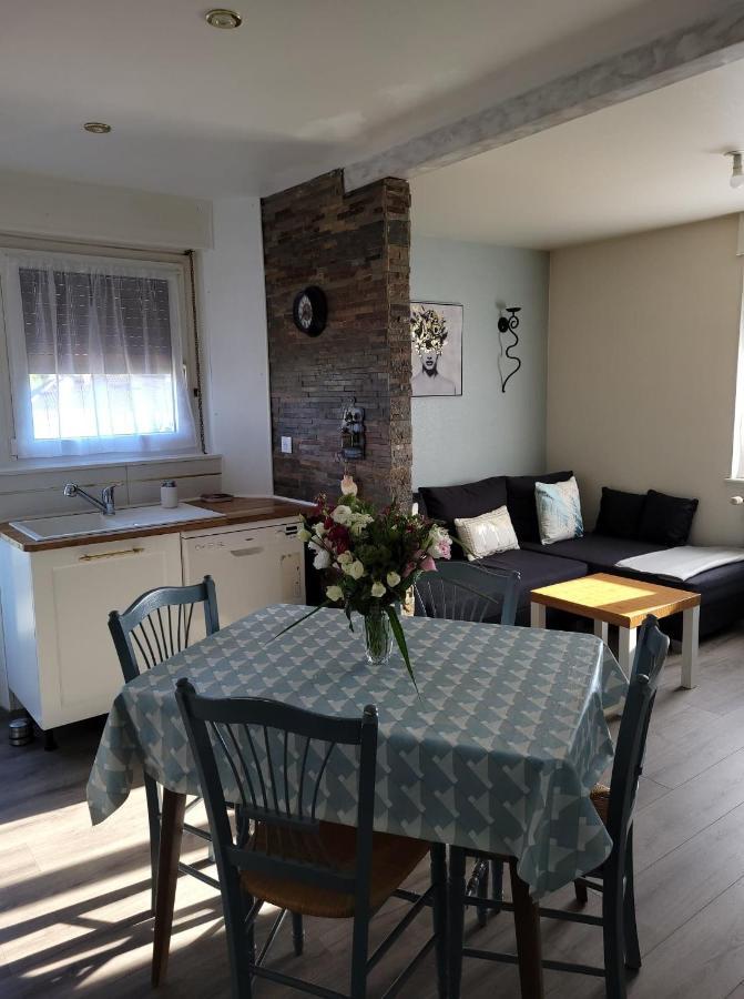 Appartement Au Cigogneau Wifi-Netflix-Balcon-Parking Munster  Eksteriør billede