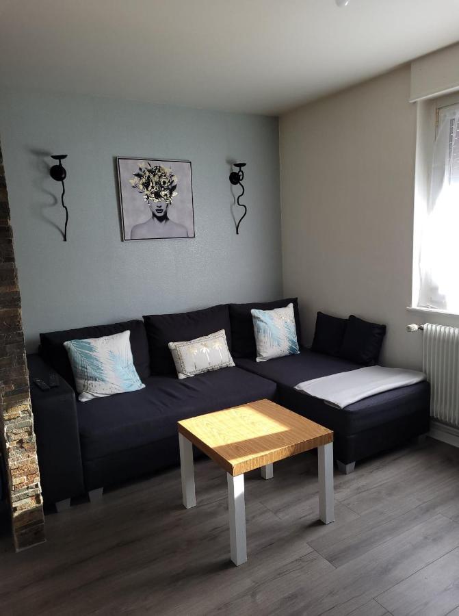 Appartement Au Cigogneau Wifi-Netflix-Balcon-Parking Munster  Eksteriør billede