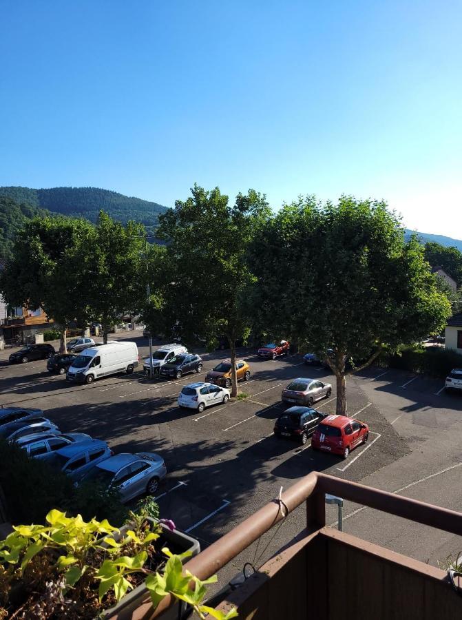 Appartement Au Cigogneau Wifi-Netflix-Balcon-Parking Munster  Eksteriør billede